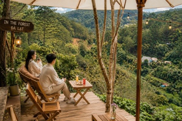 In The Forest Đà Lạt với không gian cà phê giữa rừng thông