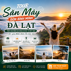 đặt vé Check in Tour Săn Mây Đà Lạt ở đâu ?