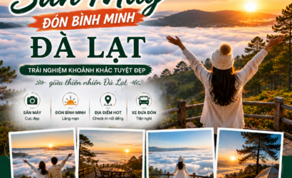 đặt vé Check in Tour Săn Mây Đà Lạt ở đâu ?