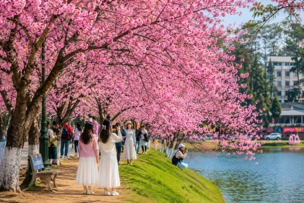 Du khách check in Đà Lạt vào mùa hoa nở đẹp nhất trong năm