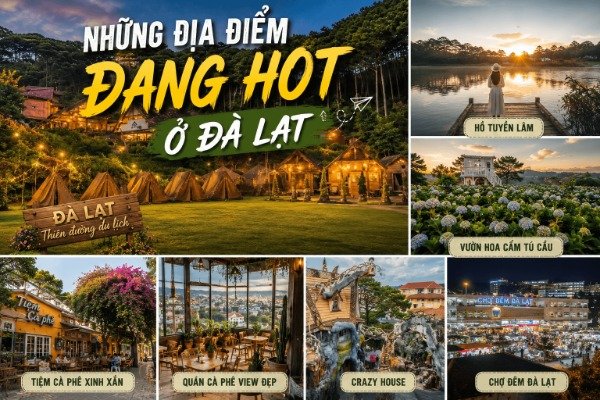 Khám phá Top Những Địa Điểm Đang Hot Ở Đà Lạt với nhiều trải nghiệm hấp dẫn