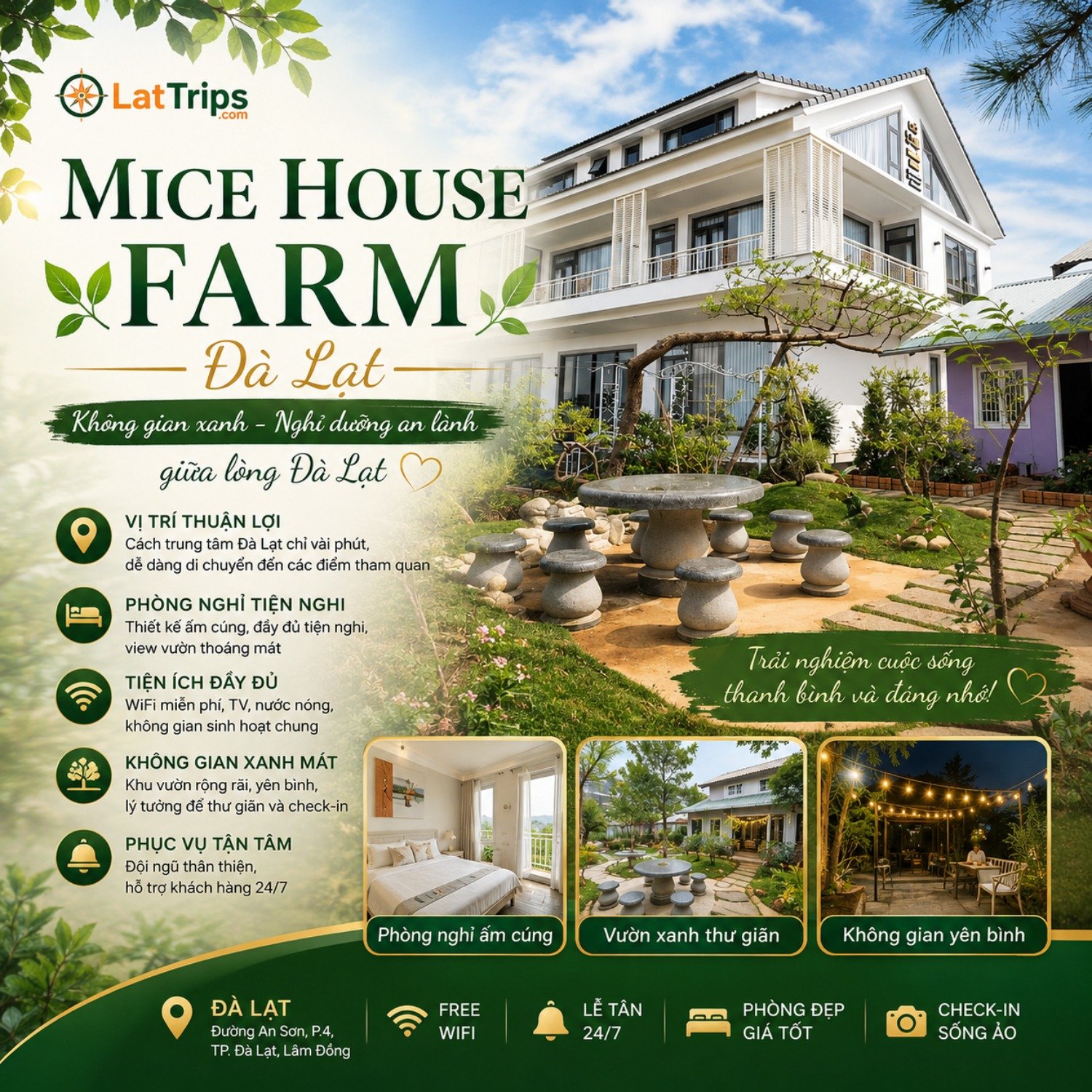 Farm Nhà Chuột – Mice House Farm Đà Lạt | Homestay Đà Lạt Không Gian Xanh Gần Trung Tâm