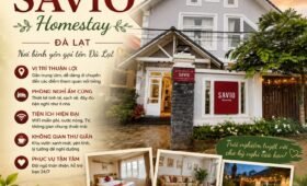 top homestay đà lạt view đẹp