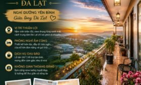 An Phú House homestay giá rẻ đà lạt