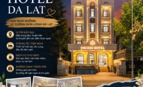 khách sạn đà lạt gần trung tâm orchid hotel 2 sao