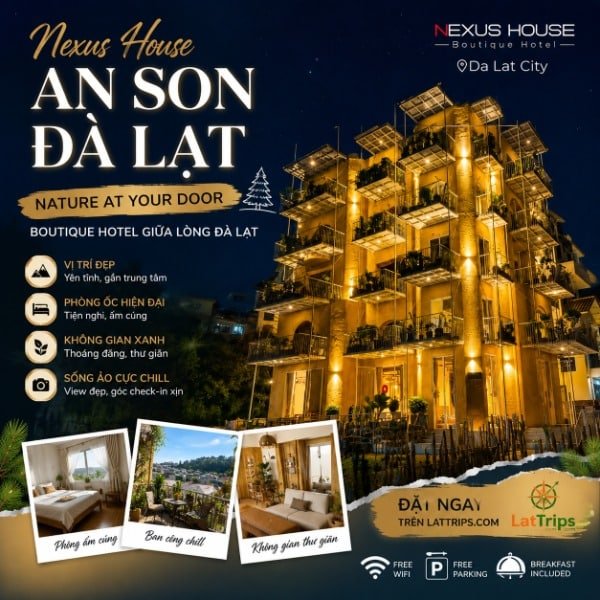 Nexus House An Son Đà Lạt – Khách Sạn 2 Sao Đà Lạt
