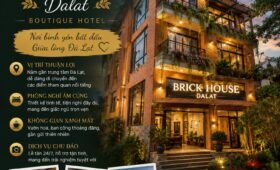 Đặt phòng khách sạn đà lạt 3 sao Brick House Dalat