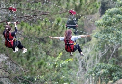Trượt Zipline xuyên rừng Đà Lạt