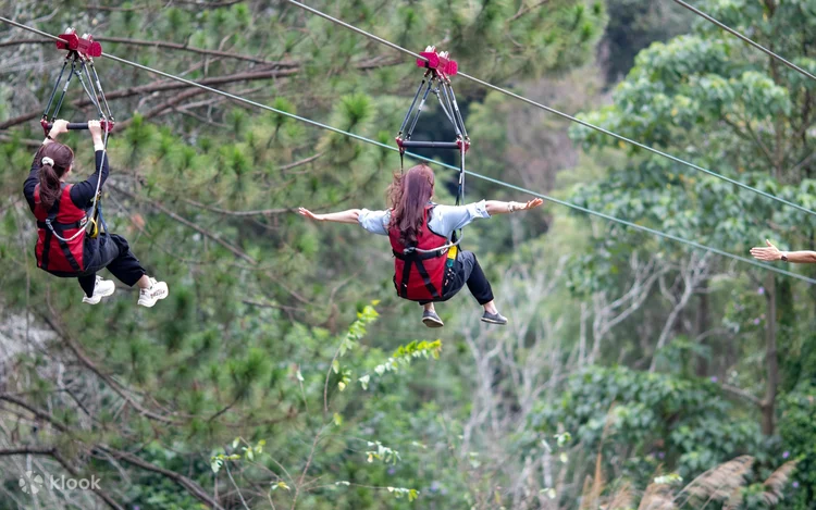 Trải nghiệm trượt Zipline xuyên rừng tại Datanla Đà Lạt